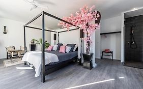 VILLA CARBO Chambre d'hôtes Mourillon, 4 belles chambres, Piscine